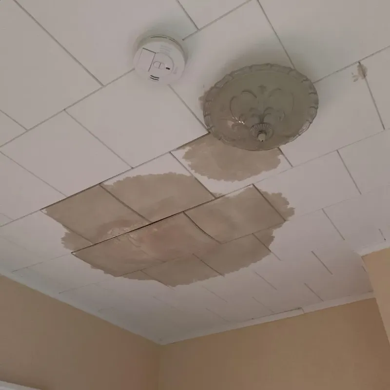 Ceiling Water Damage Repair in Hartford, IL