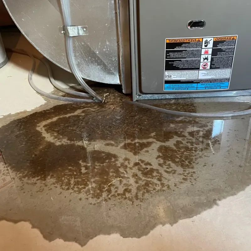 Pipe Burst and Leak Restoration in Hartford, IL