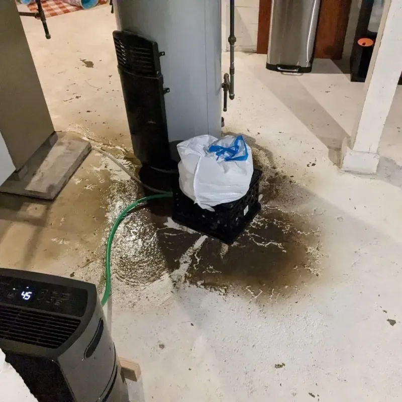 Sewage Backup Cleanup Service in Hartford, IL